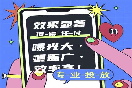 SEO与百度推广结合的营销策略——经典案例解析